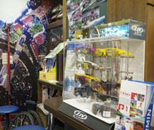 捷安特-輝詠自行車