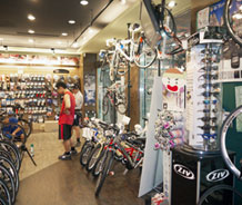 捷安特-輝詠自行車