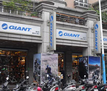 捷安特-輝詠自行車